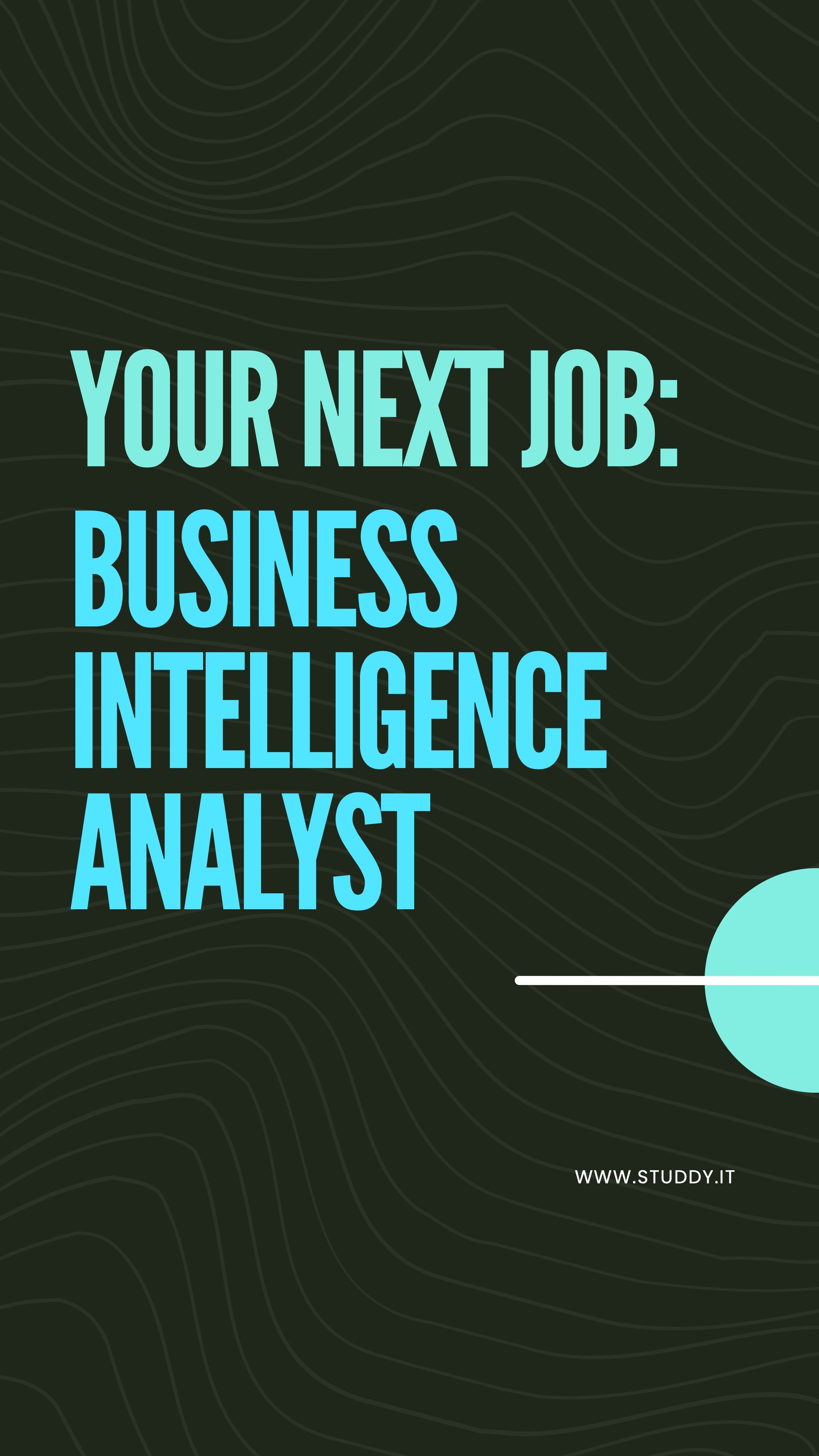 Business intelligence analyst
