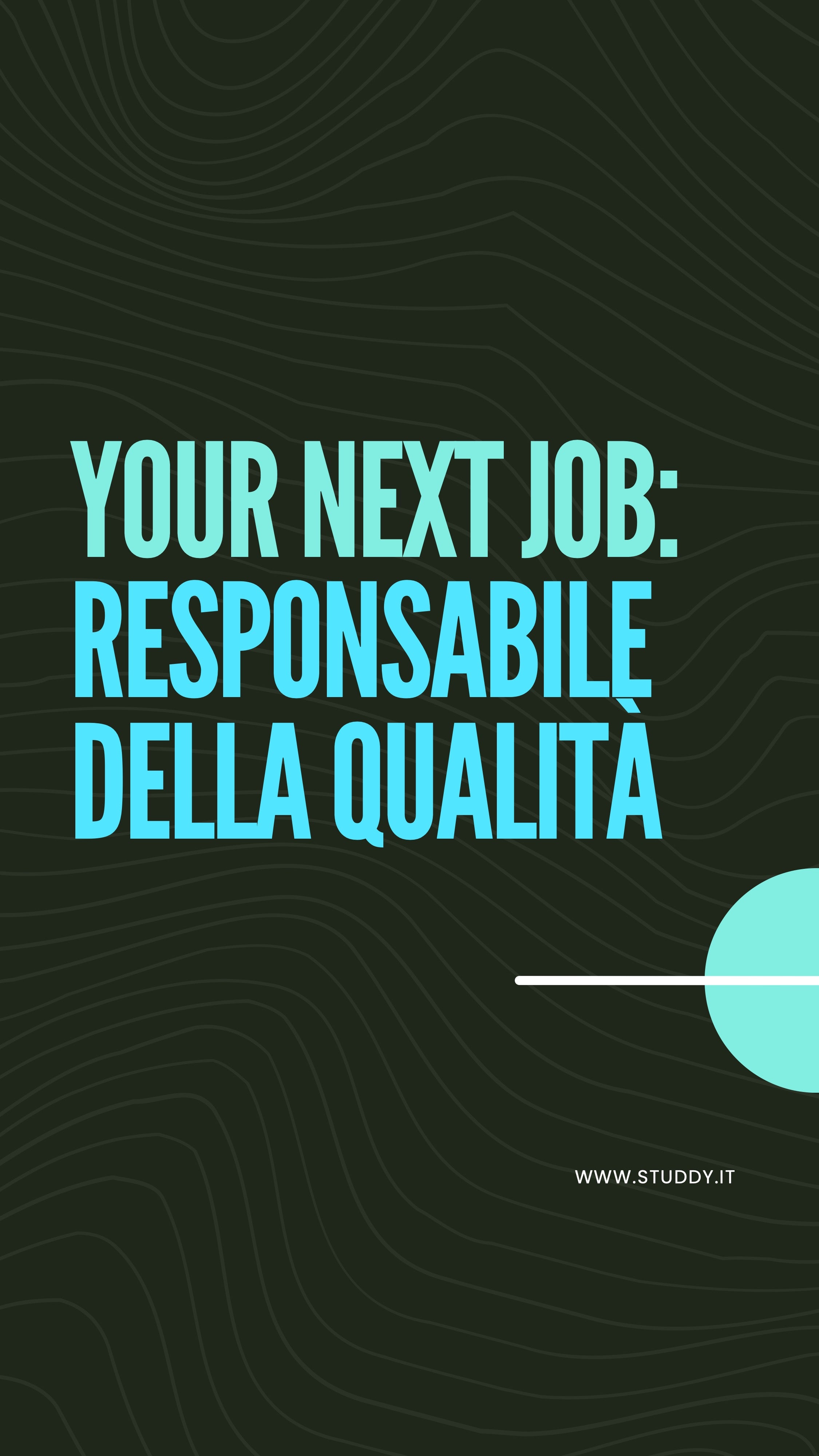 Responsabile della qualità
