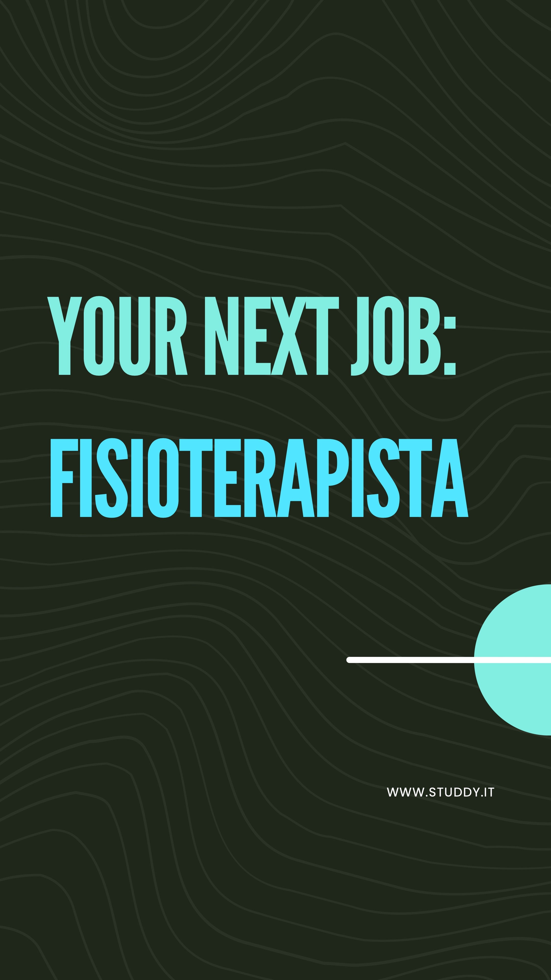 Fisioterapista