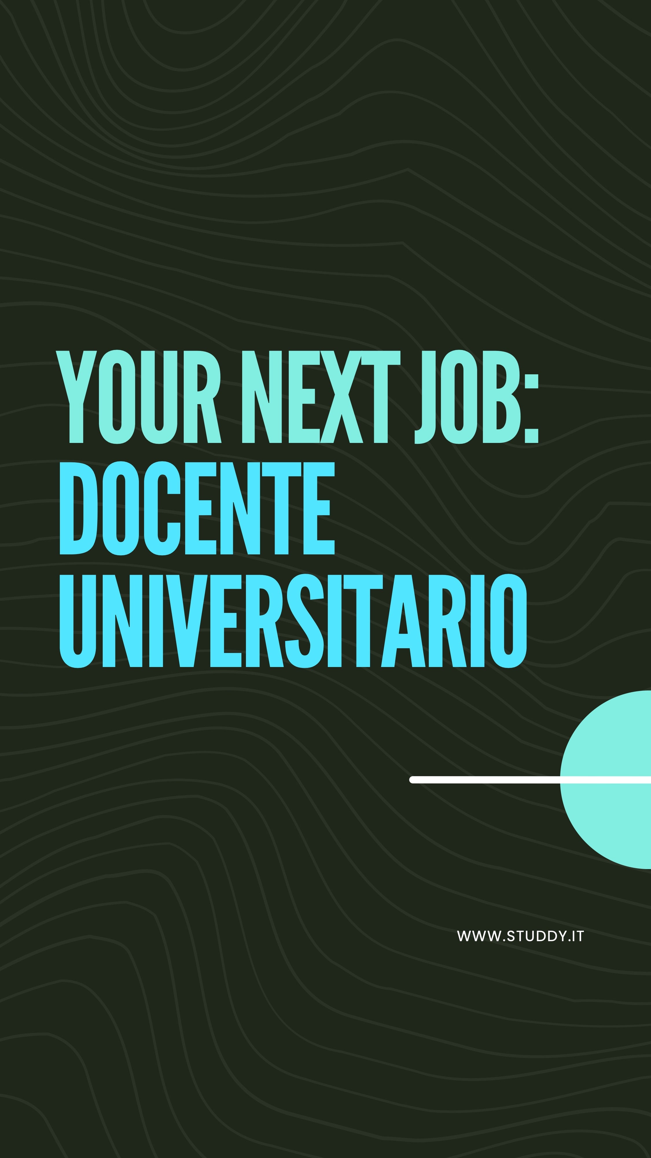 Docente universitario