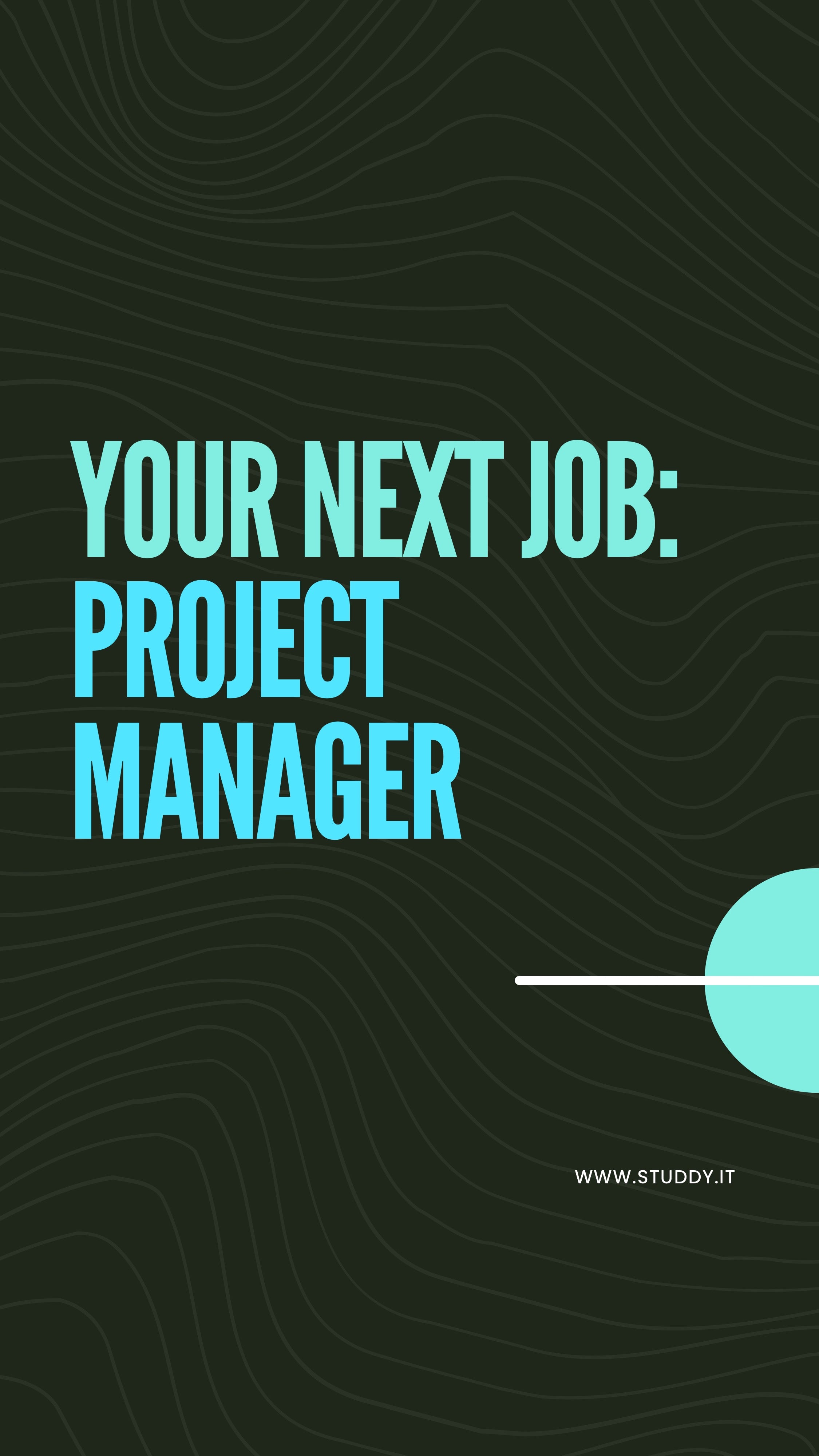 Project Manager