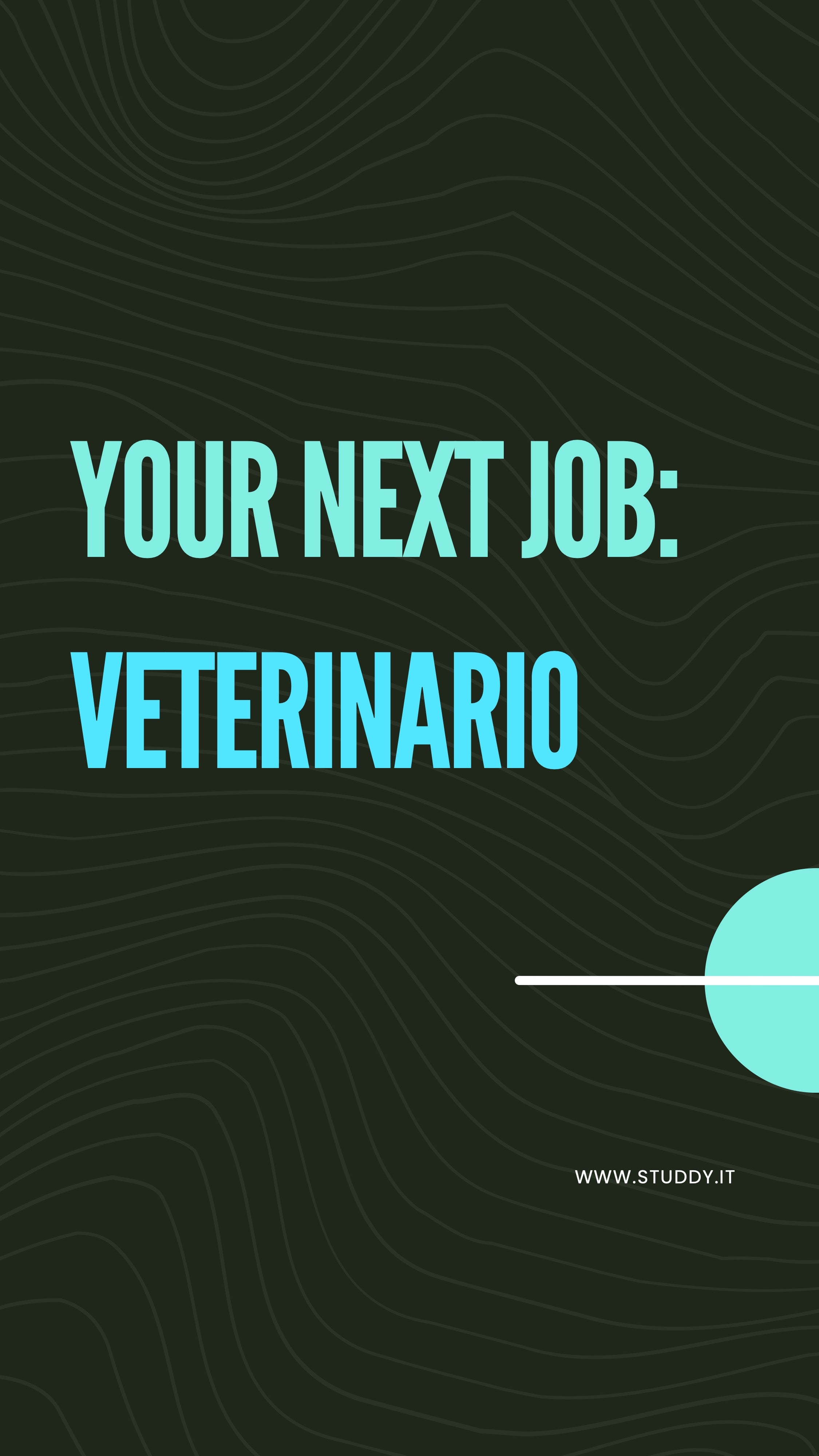 Veterinario