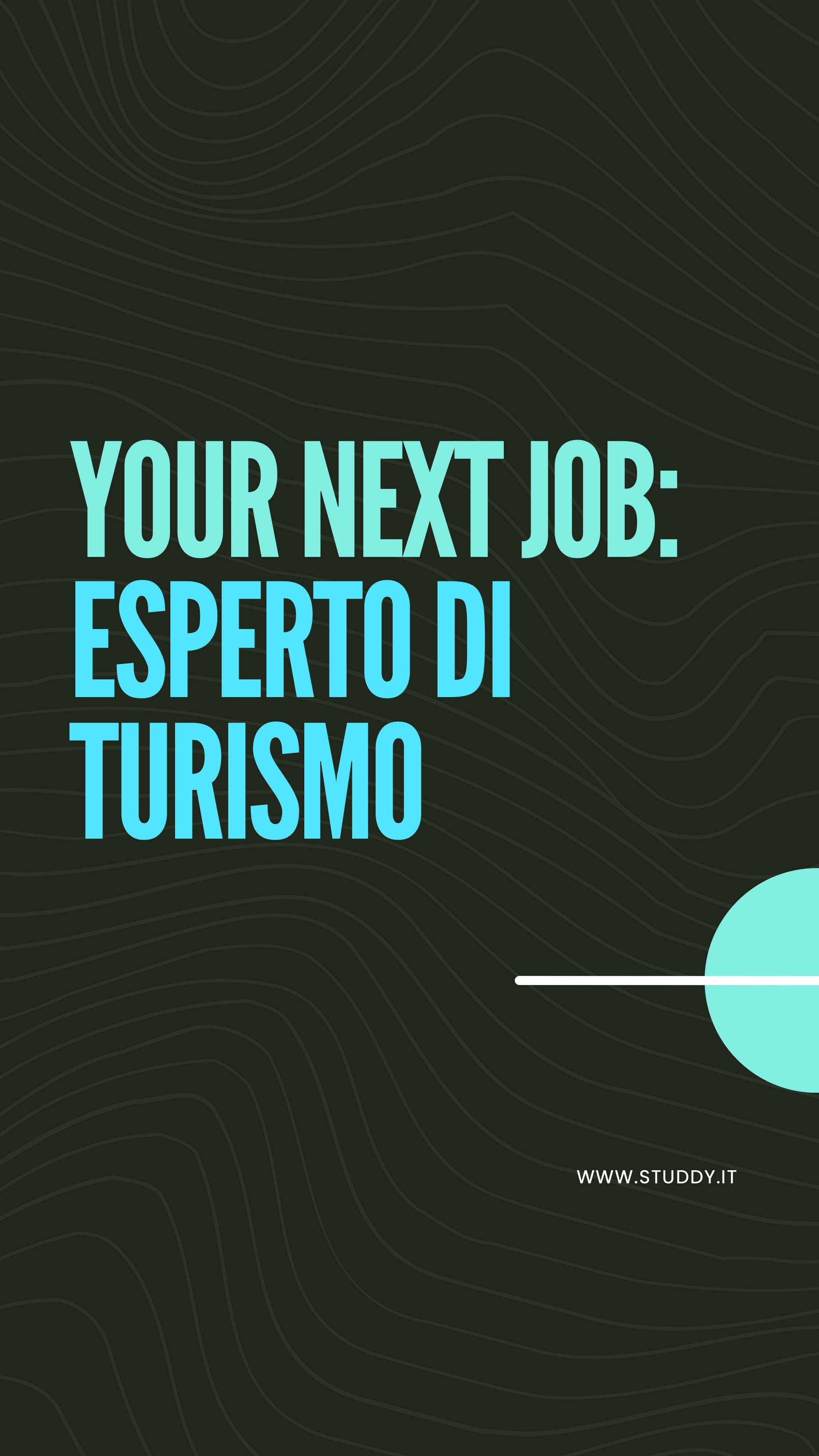 Esperto di turismo
