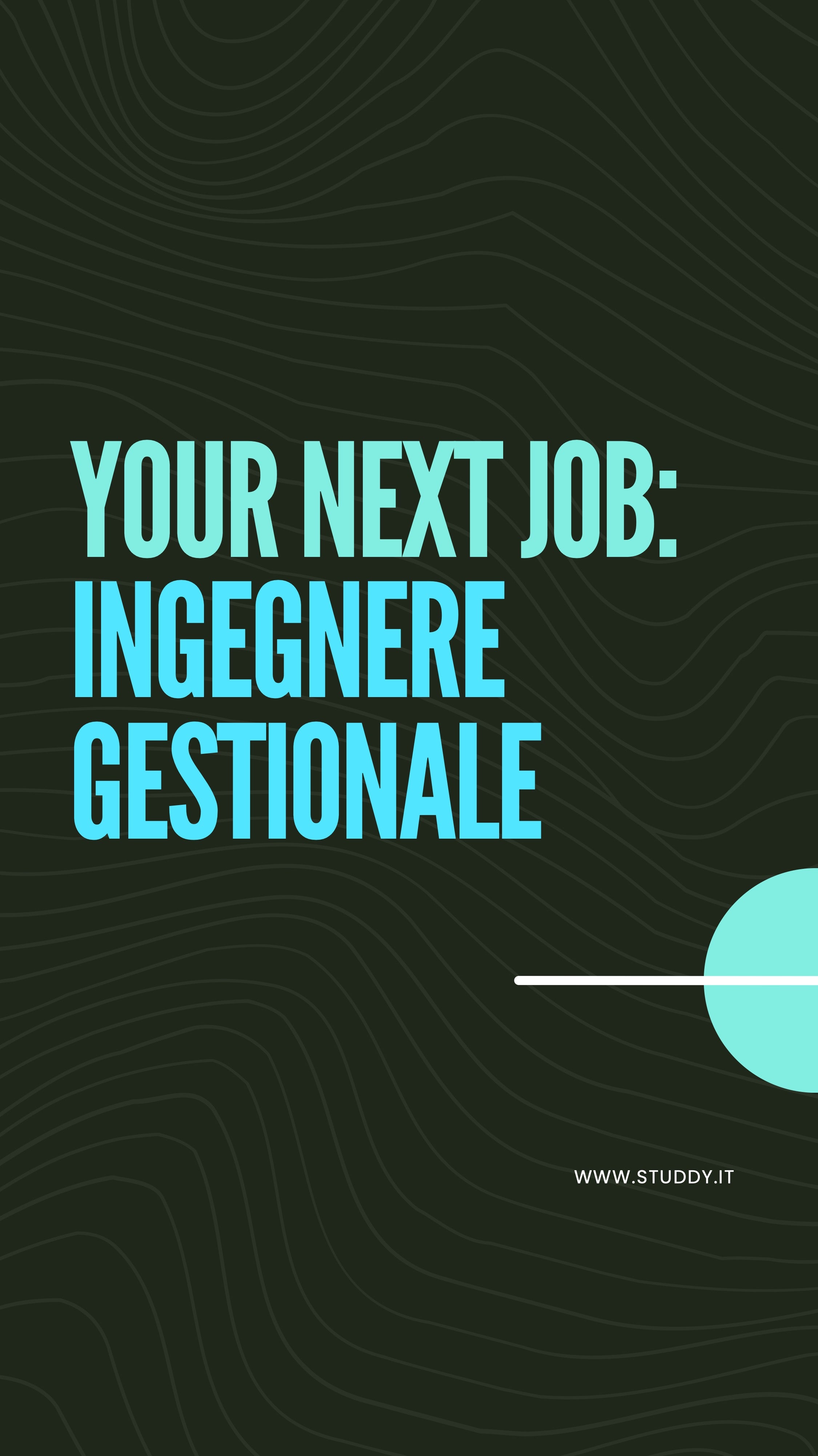 Ingegnere gestionale