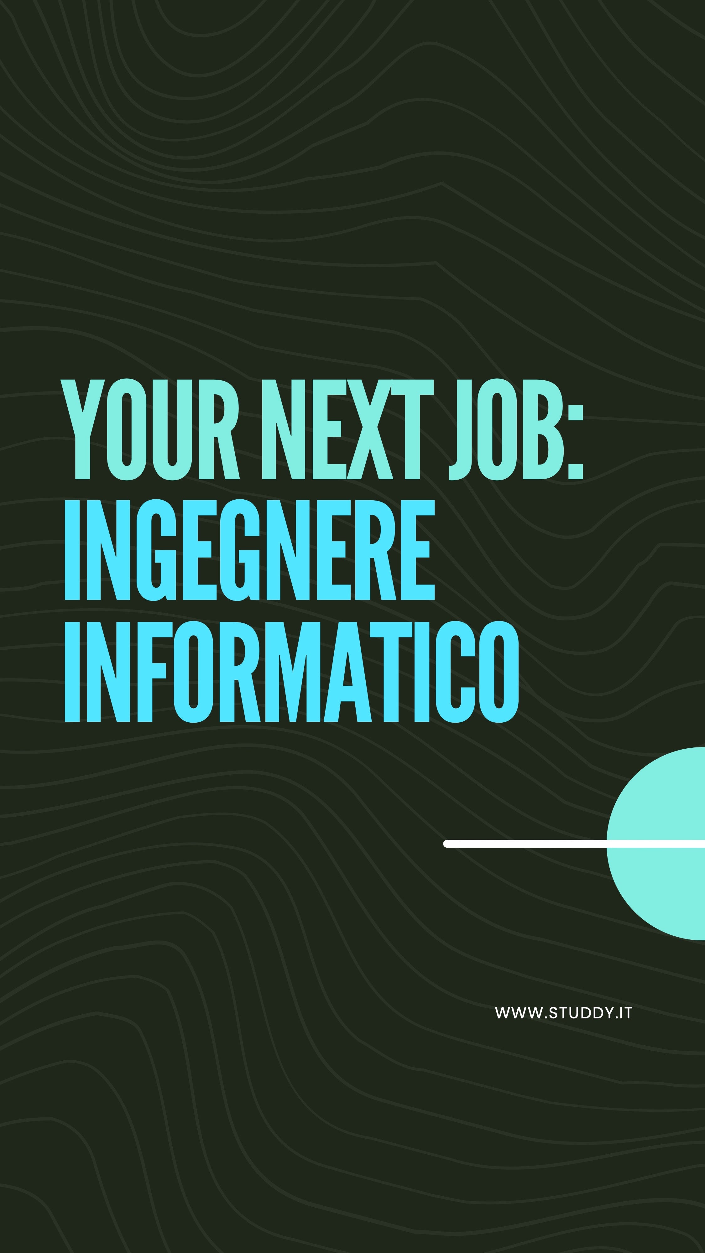 Ingegnere informatico