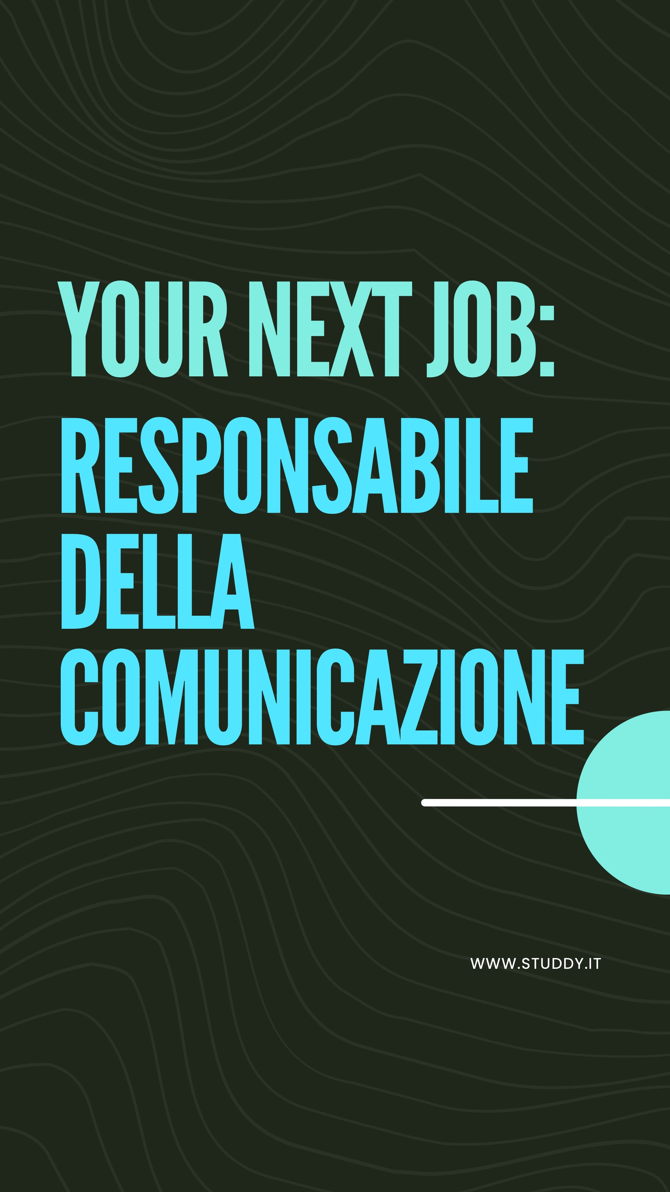Responsabile della comunicazione