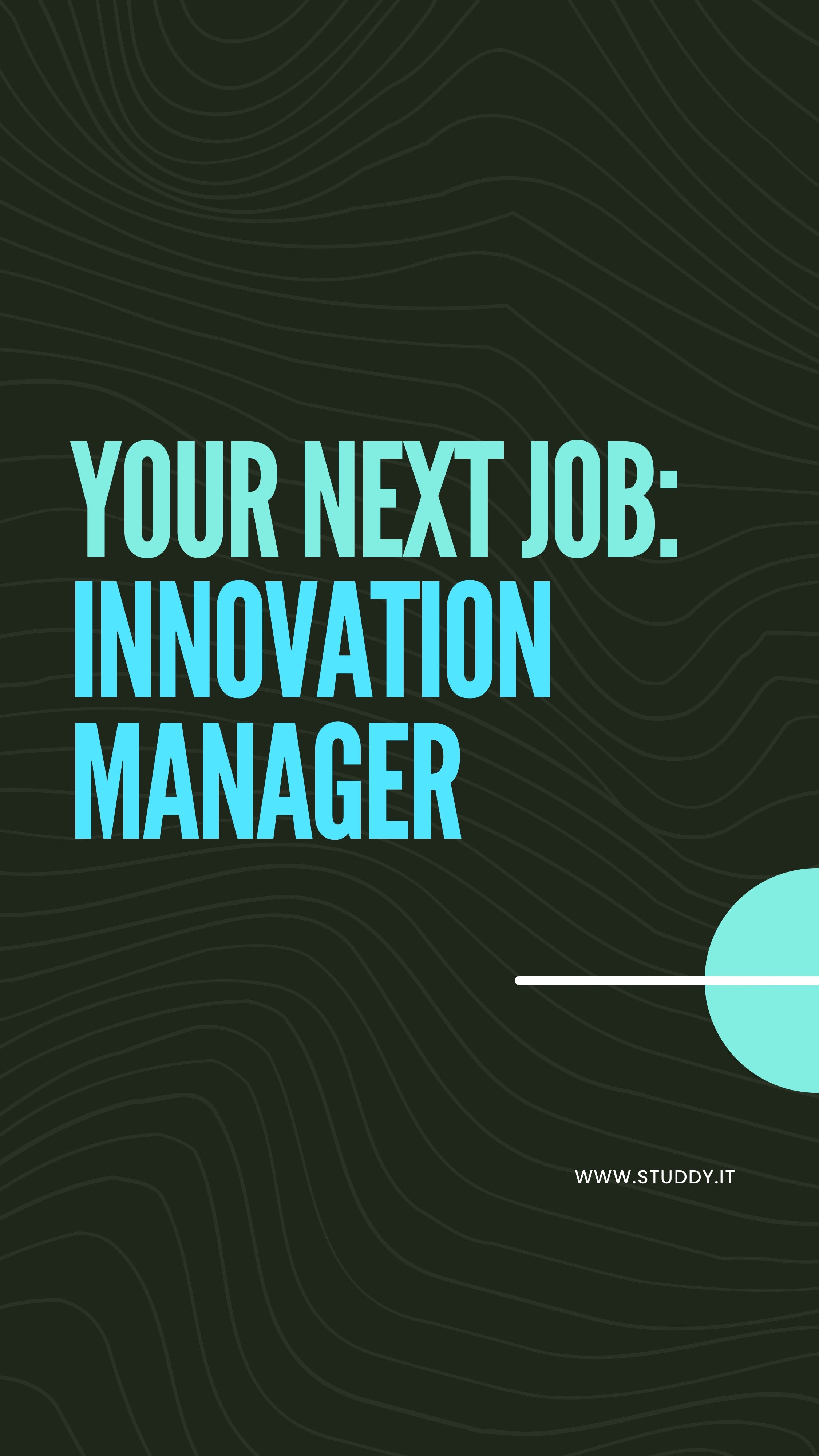 Innovation manager