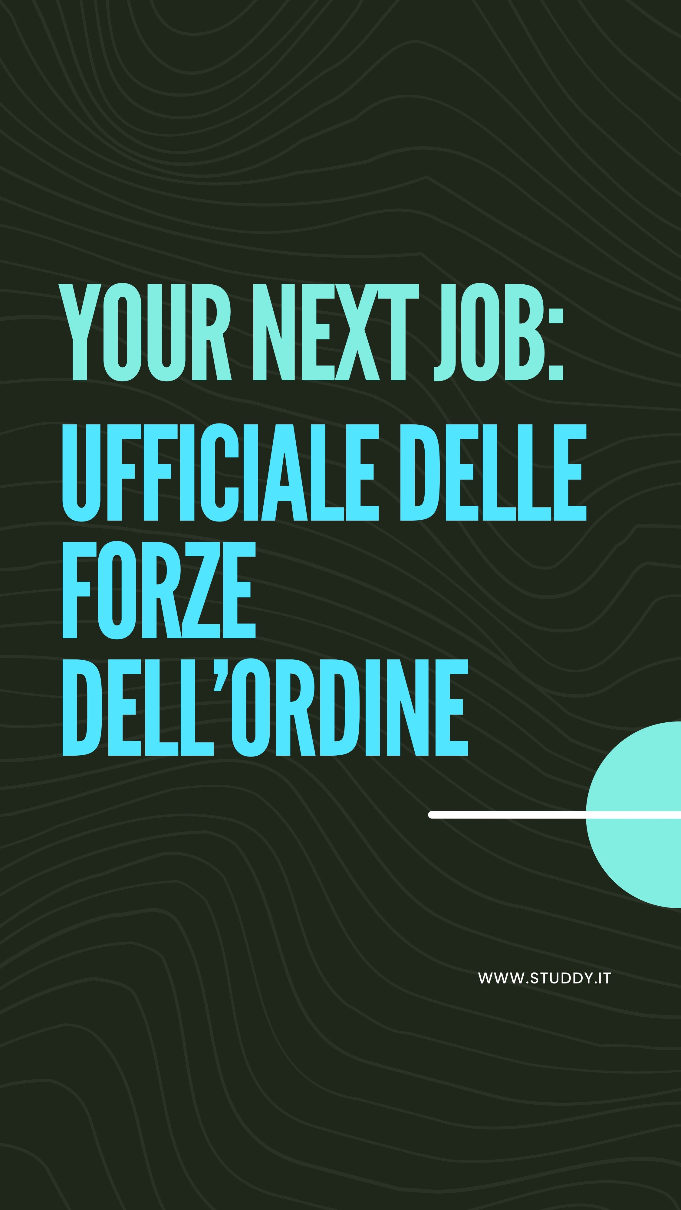 Ufficiale delle forze dell'ordine
