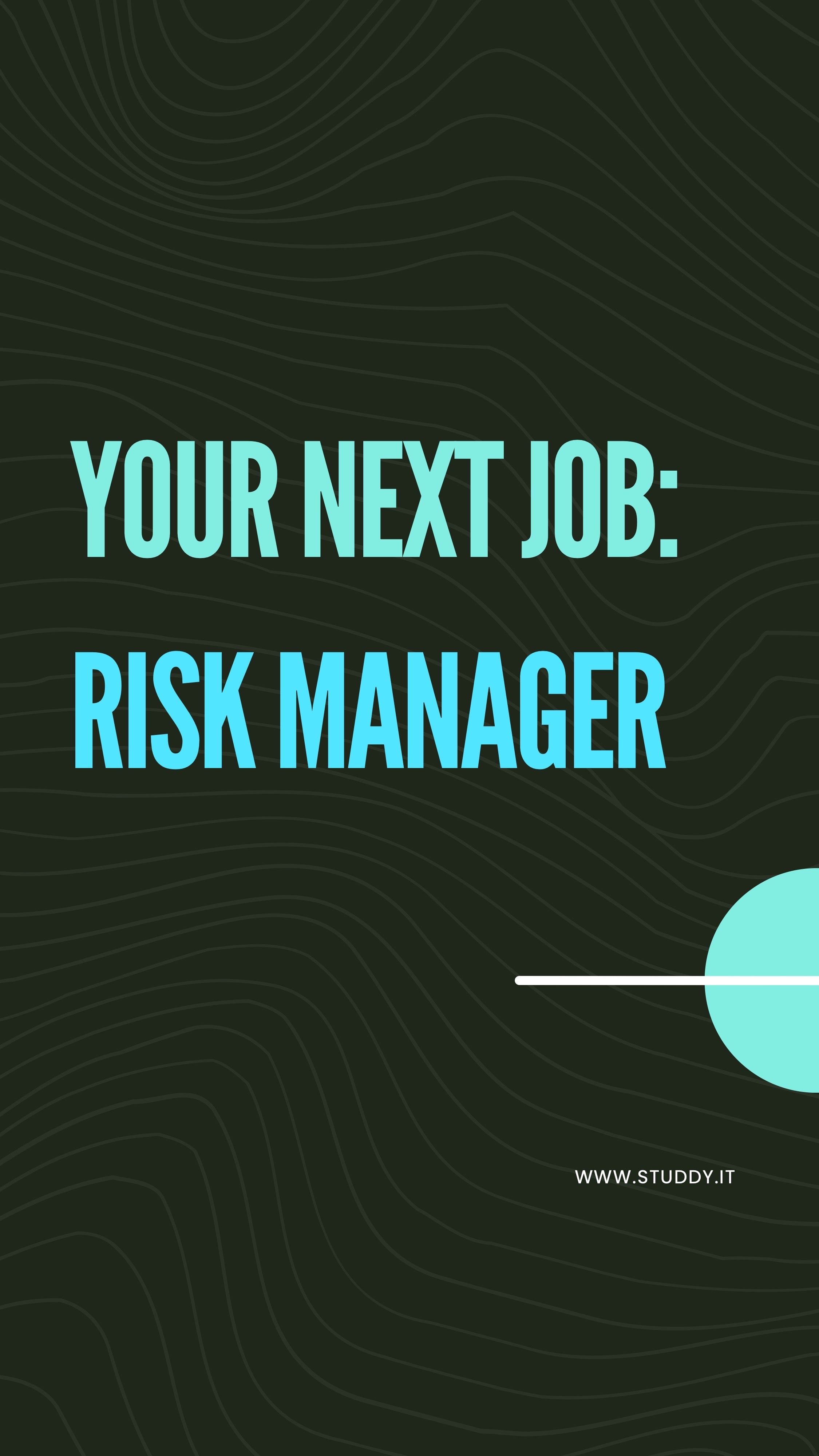 Risk manager